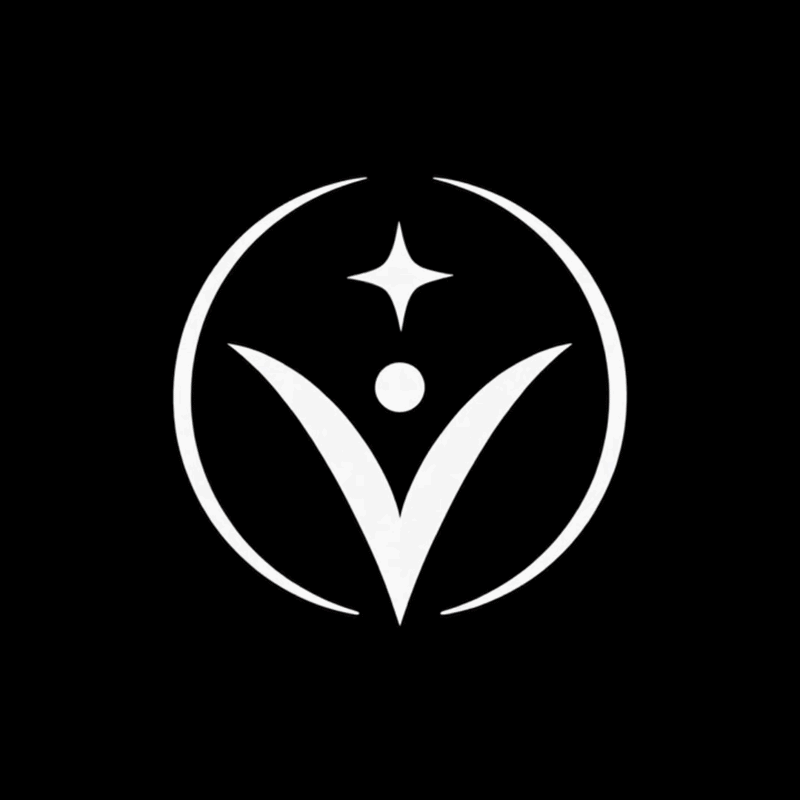 Vision+ — logo communauté